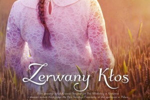 zerwany kłos